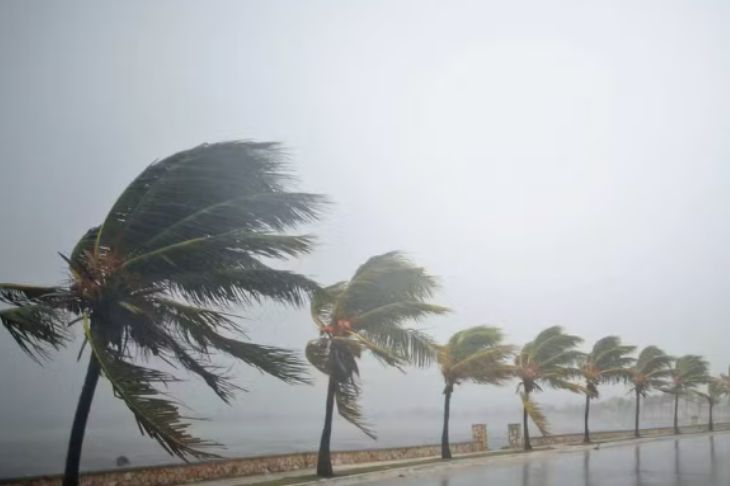 Como acionar seguro após vendaval ou tempestade de vento: guia completo para proteger seus direitos - Martinhago Advocacia | Advogados Especialistas em Defesa dos Seus Direitos
